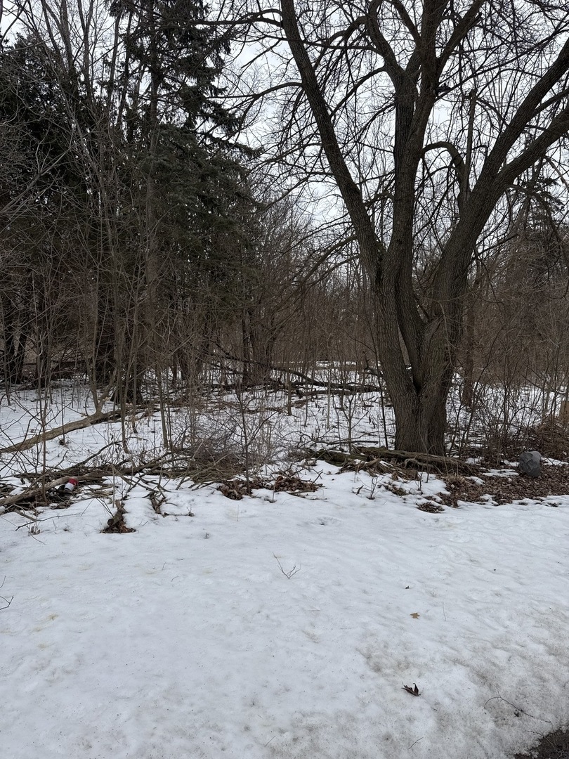 1601 Faithorn Avenue, Crete, IL