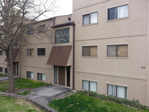 48 Oak Hill Colony #2, Fox Lake, IL