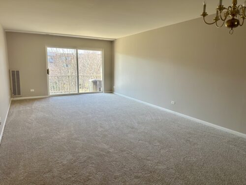 909 E Kenilworth Avenue #420, Palatine, IL