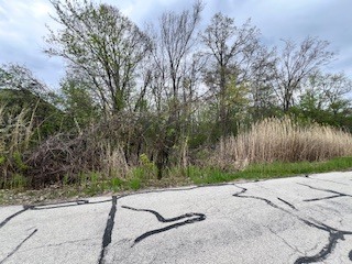 17W246 Red Oak Street, Bensenville, IL