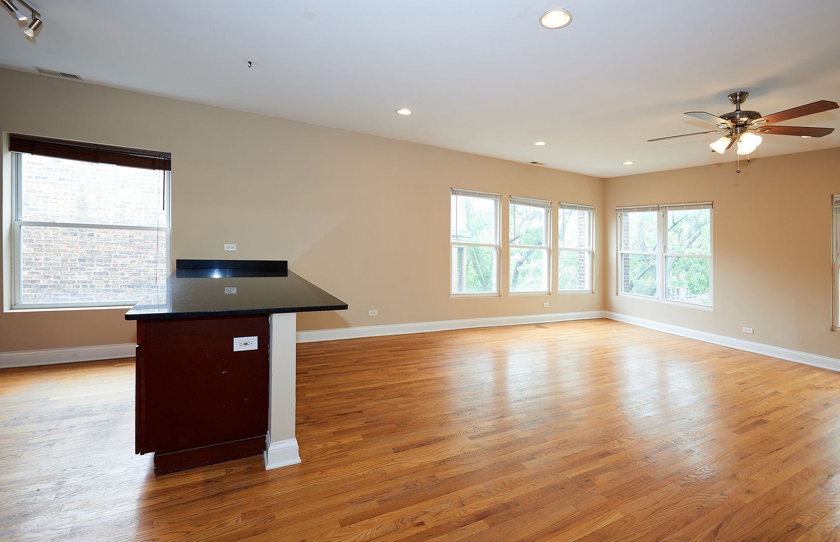 1609 W Farwell Avenue #3, Chicago, IL