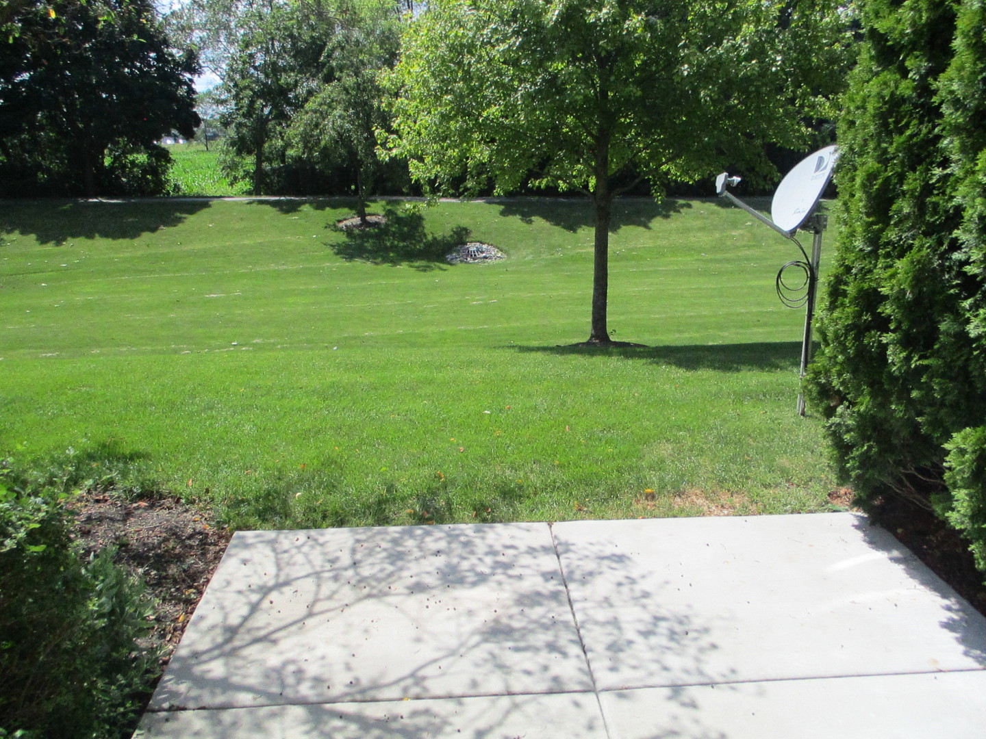 356 Littleton Trail, Elgin, IL