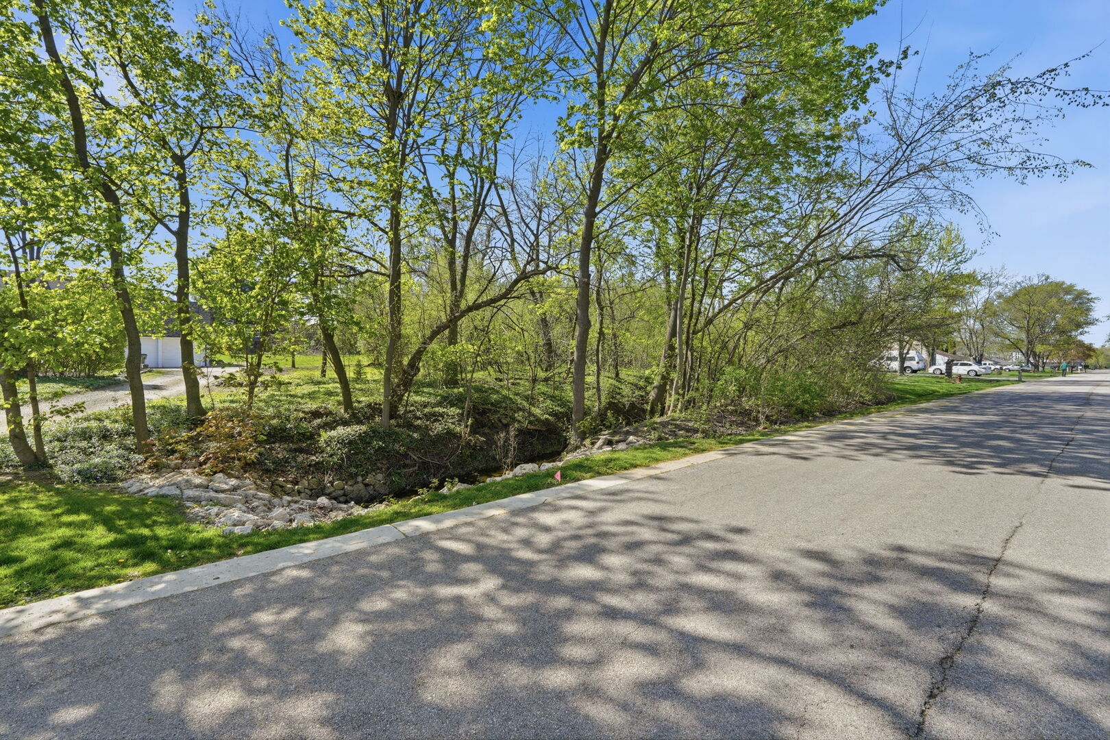 882 N FRANKLIN Avenue, Palatine, IL