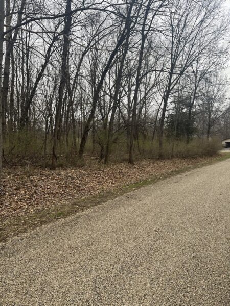 7 Arrowhead Court, Putnam, IL