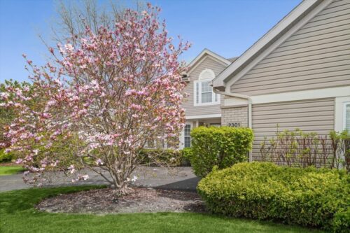 2301 Madiera Lane, Buffalo Grove, IL
