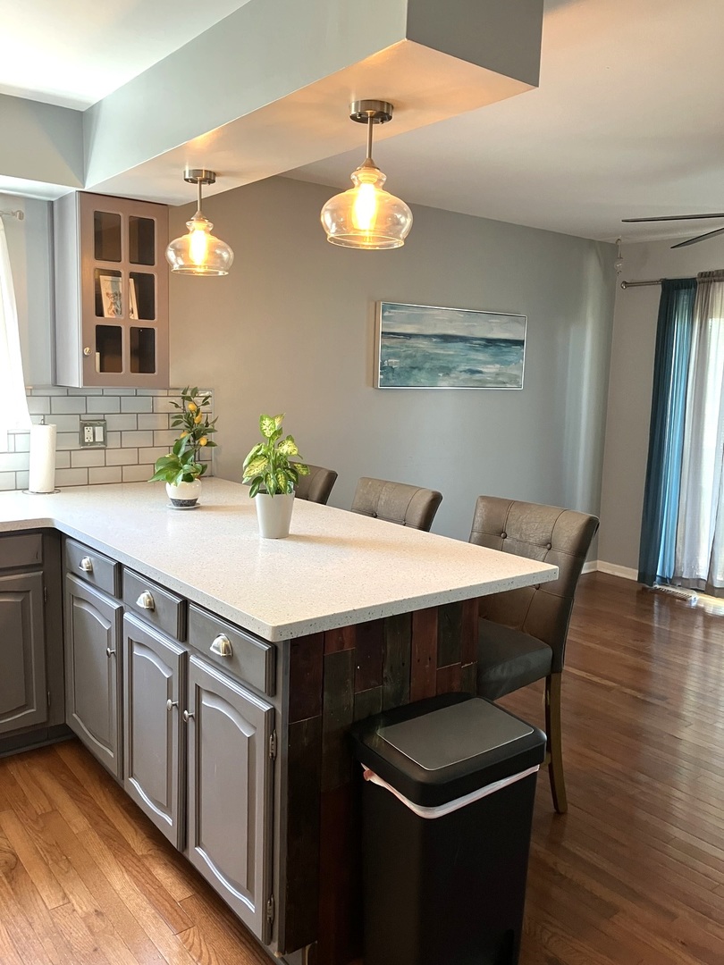 254 PLACID Way, Elk Grove Village, IL