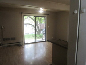 48 Oak Hill Colony #2, Fox Lake, IL