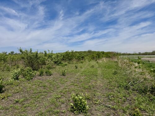 000 Kankakee Street, Reddick, IL