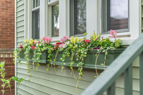 1443 W Catalpa Avenue, Chicago, IL