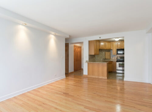 195 N HARBOR Drive #207, Chicago, IL