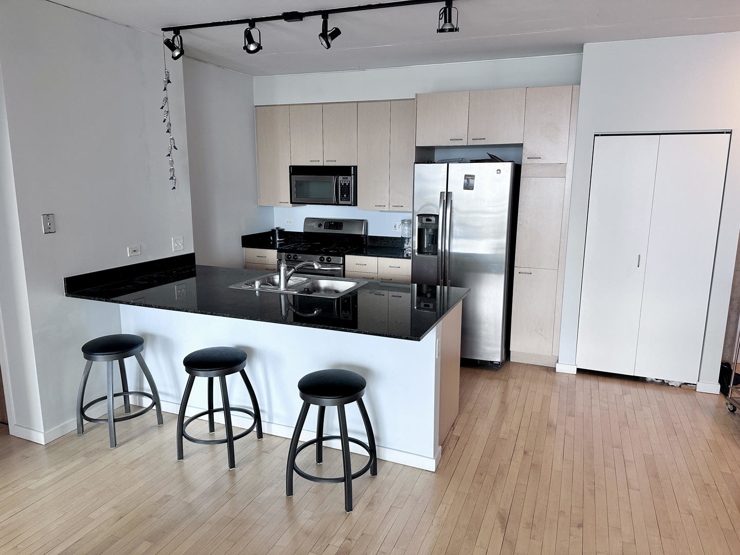 1845 S MICHIGAN Avenue #1109, Chicago, IL