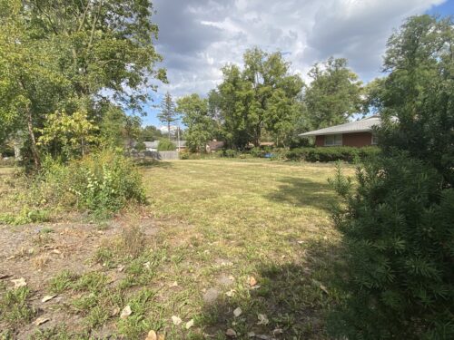 1738 Whitcomb Avenue, Des Plaines, IL