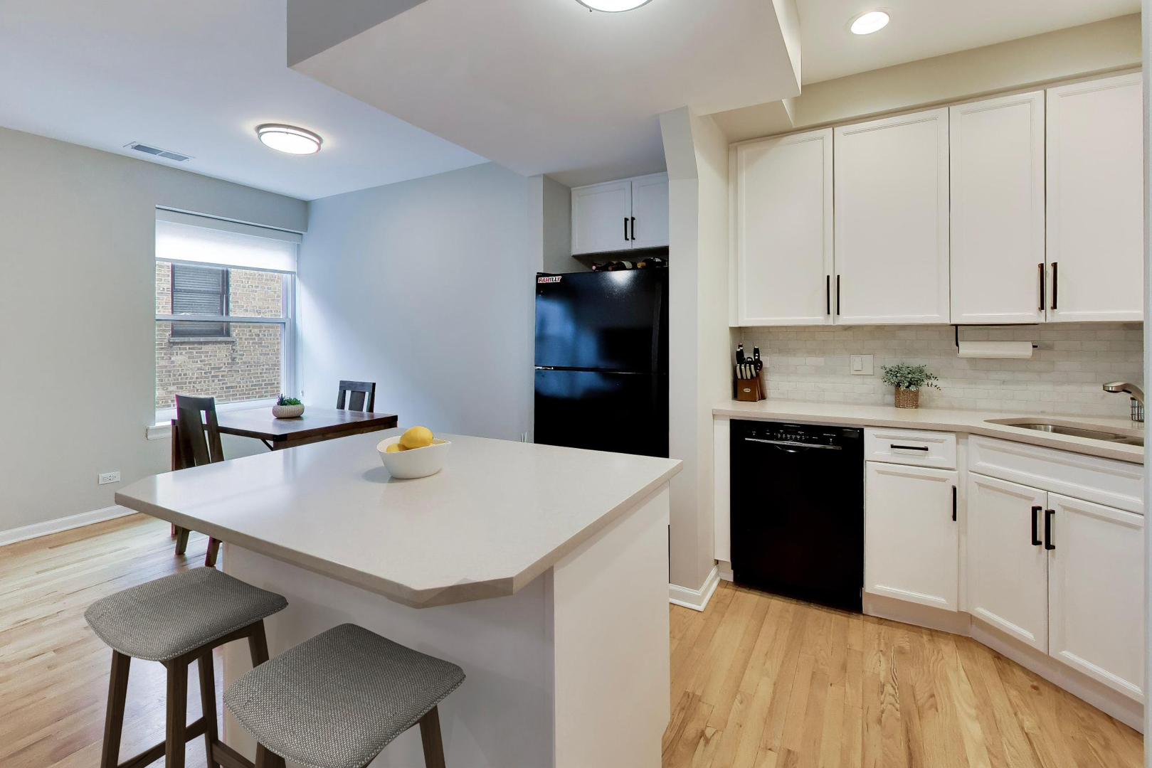 1636 W Melrose Street #303, Chicago, IL
