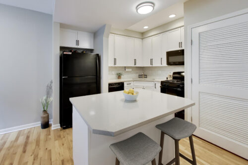 1636 W Melrose Street #303, Chicago, IL
