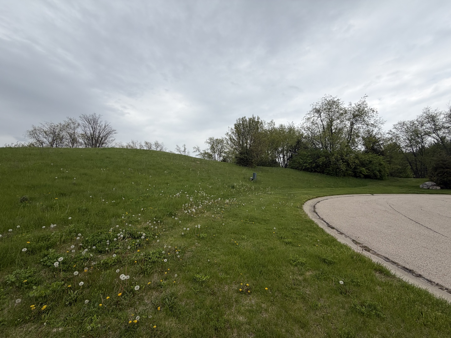 7010 Wildflower Court, Spring Grove, IL