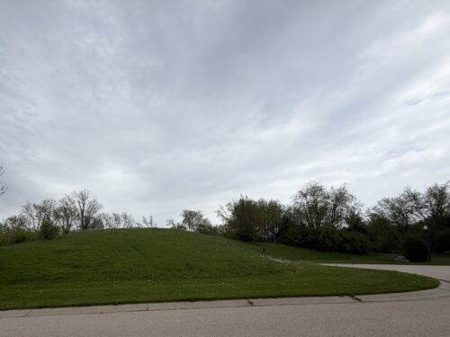 7010 Wildflower Court, Spring Grove, IL