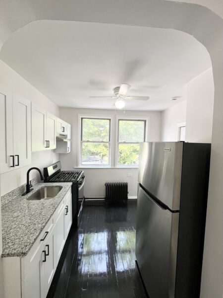 948 N Kildare Avenue #2, Chicago, IL