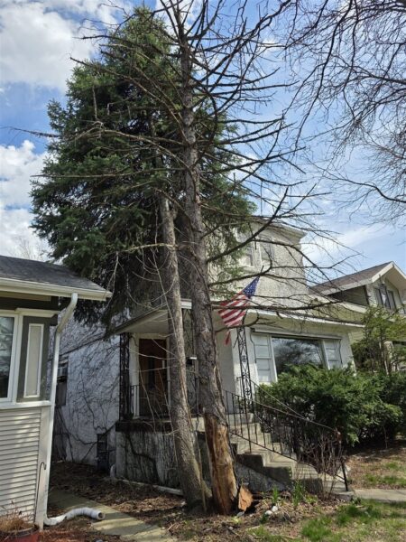 828 N Ridgeland Avenue, Oak Park, IL