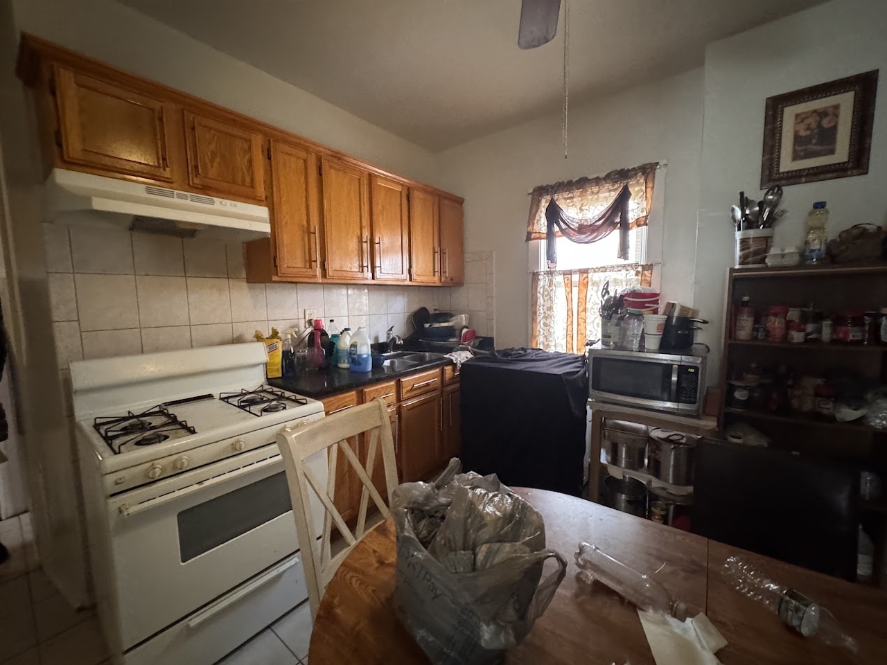 1041 N Central Park Avenue, Chicago, IL