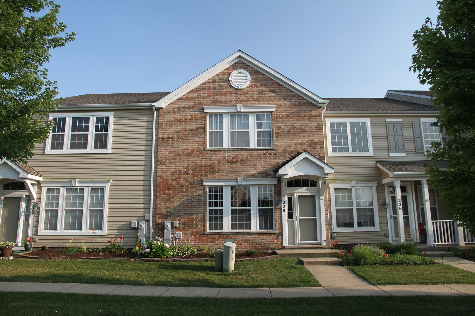 228 Springbrook Trail, Oswego, IL