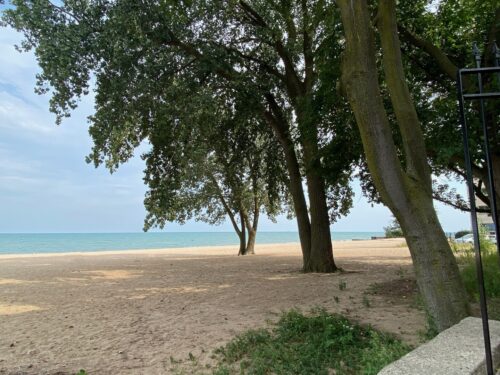 1055 W Pratt Boulevard #2A, Chicago, IL