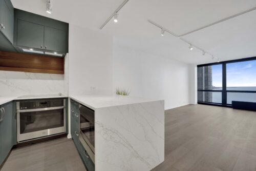 900 N Lake Shore Drive #2113, Chicago, IL