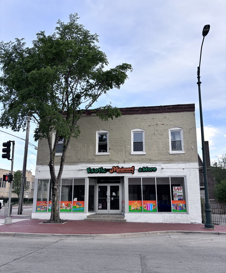 266 E CASS Street, Joliet, IL