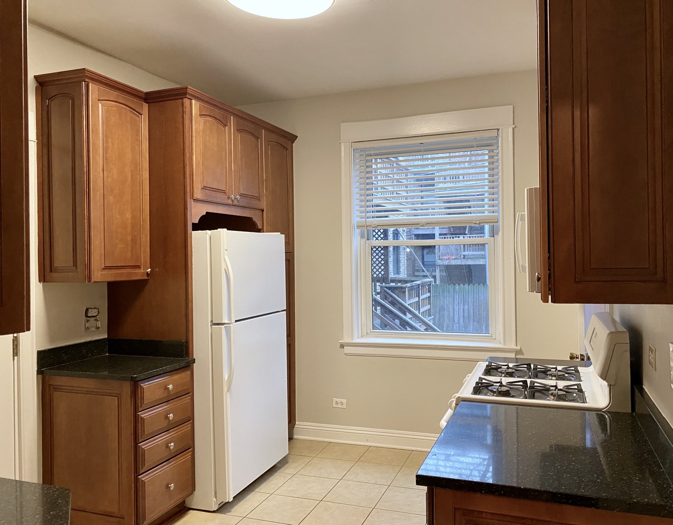 909 W Gordon Terrace #1, Chicago, IL