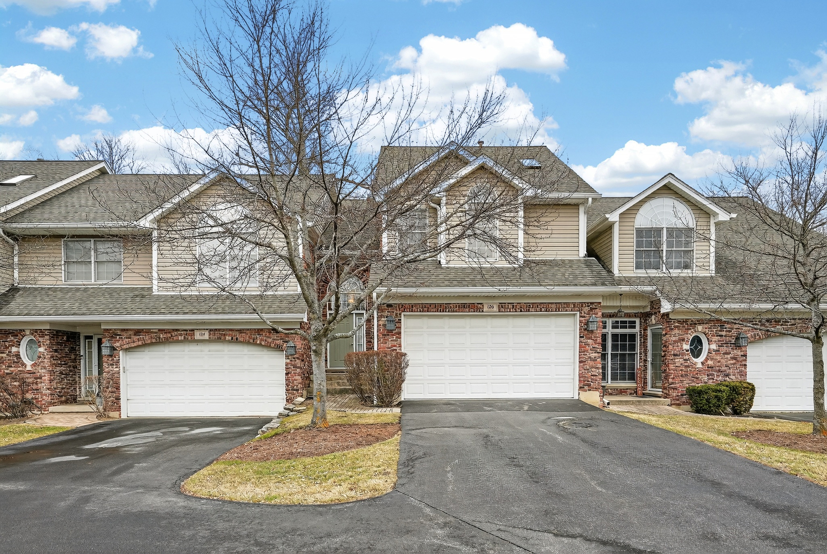 126 N Drew Court, Palatine, IL