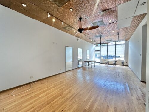 2138 W CHICAGO Avenue, Chicago, IL