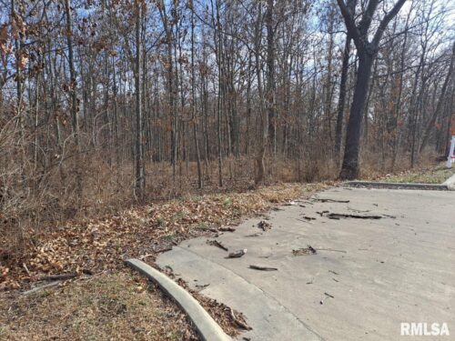 Lot 1 N 27TH Street, Mt Vernon, IL