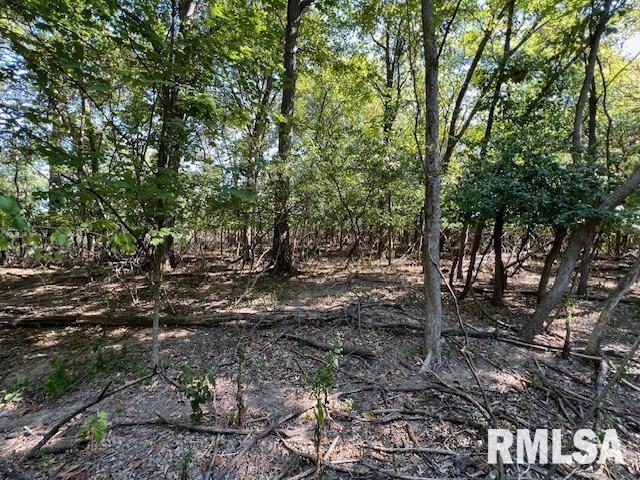 000 Barnett Street, Carterville, IL