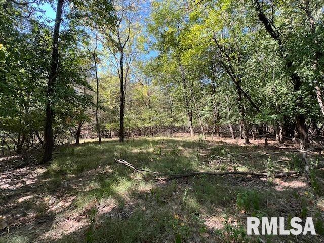 000 Barnett Street, Carterville, IL