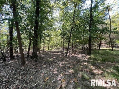 000 Barnett Street, Carterville, IL