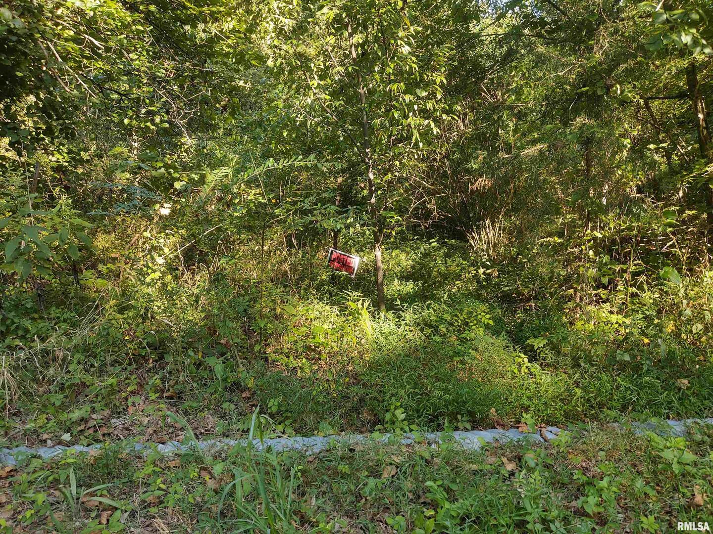 3830 Gum Springs Road, Ozark, IL