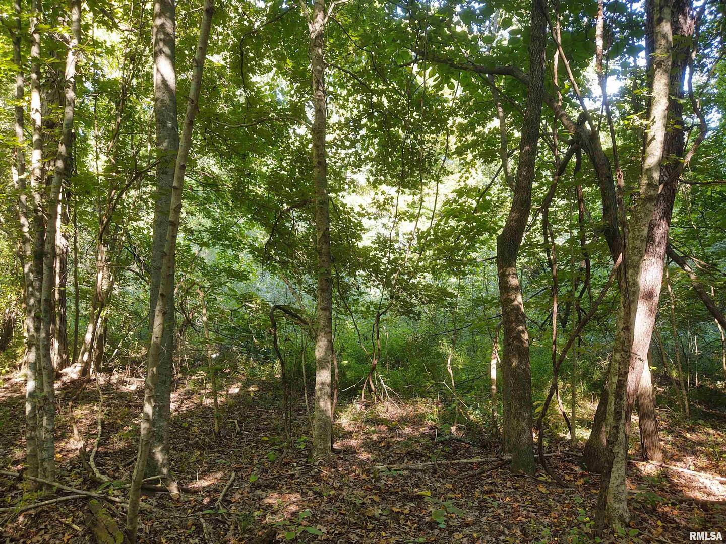 3830 Gum Springs Road, Ozark, IL