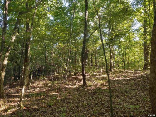 3830 Gum Springs Road, Ozark, IL
