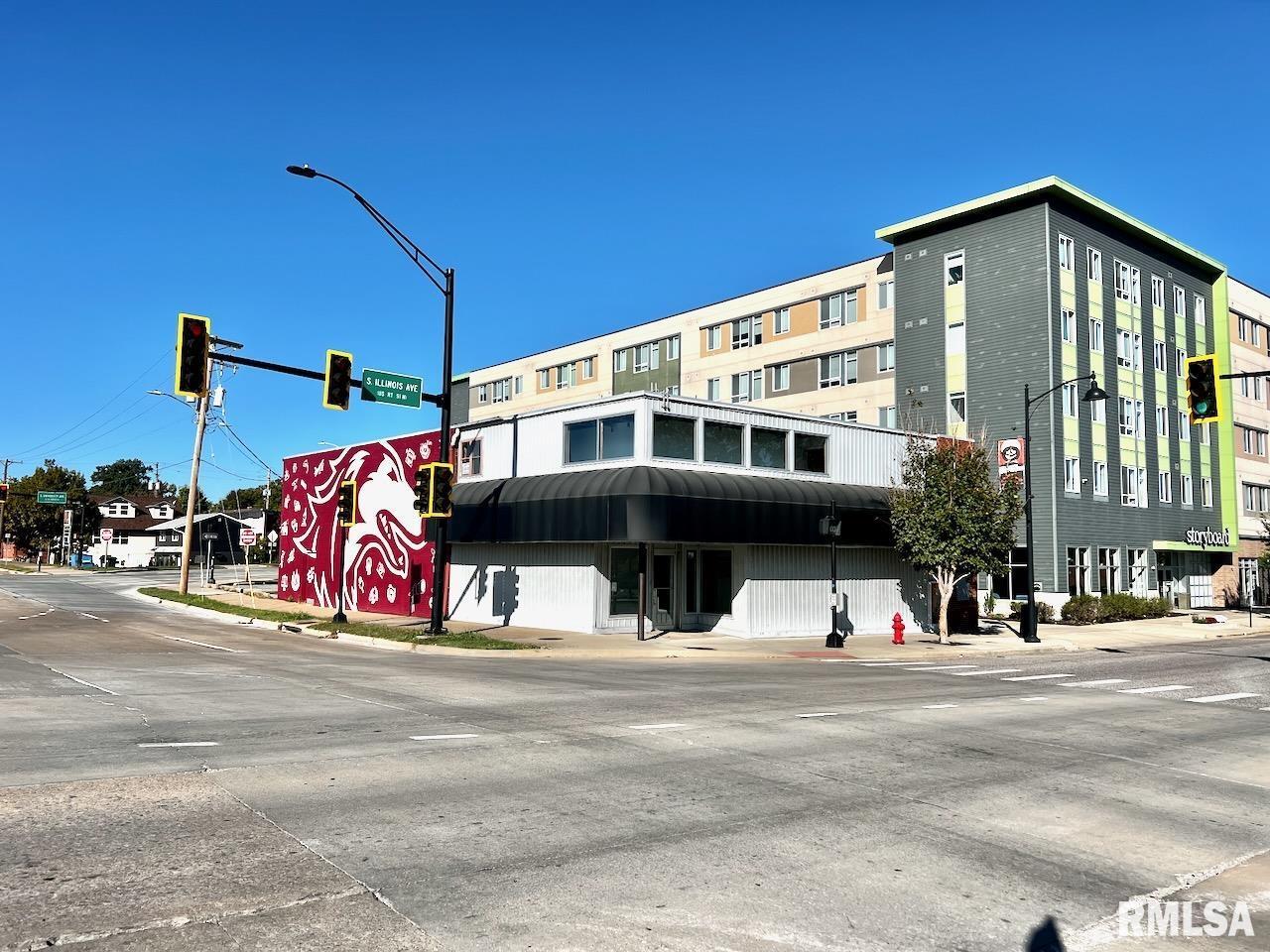 718 S ILLINOIS Avenue, Carbondale, IL