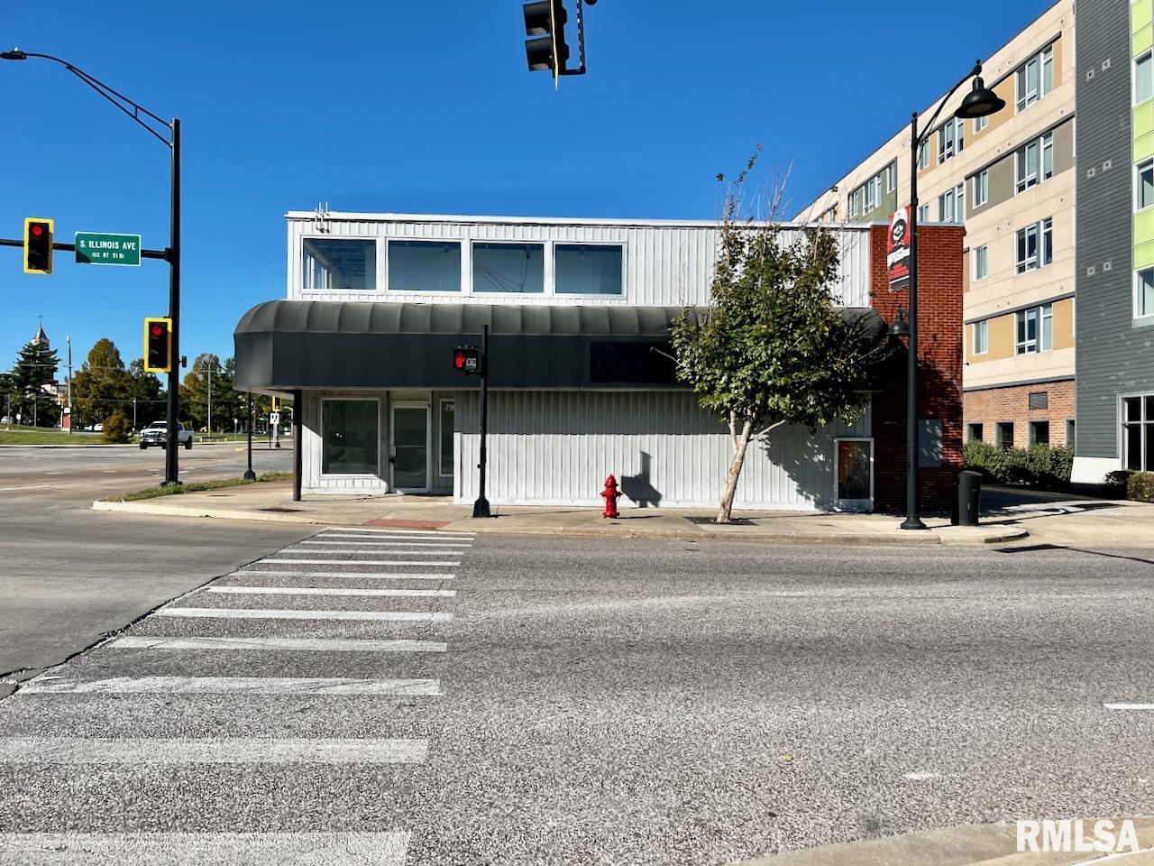 718 S ILLINOIS Avenue, Carbondale, IL