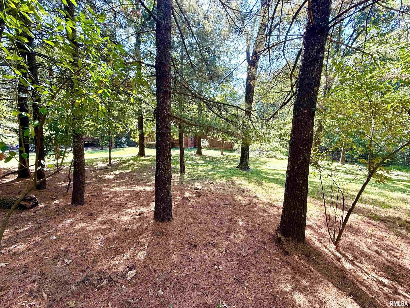 592 Brush Hill Road, Carbondale, IL