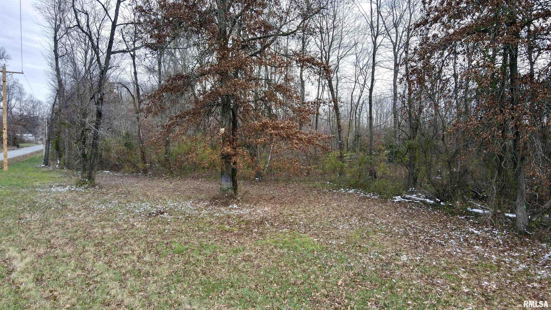 10200 COUNTRY CLUB Road, West Frankfort, IL