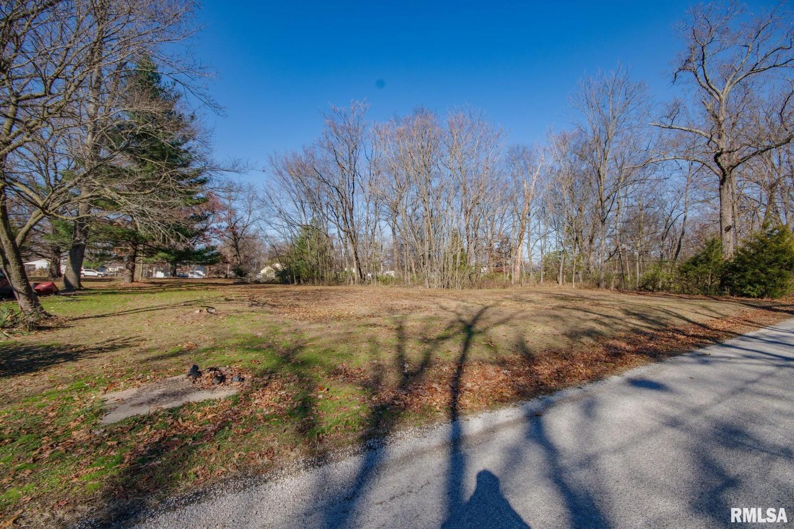 Lots OAK PARK Road, Salem, IL