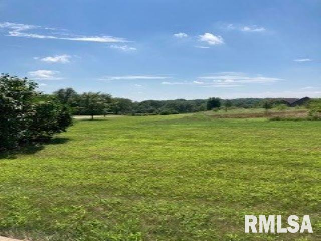 3905 229TH Street Circle, Port Byron, IL