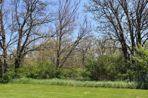 Lot 18 Masters Drive, Morrison, IL
