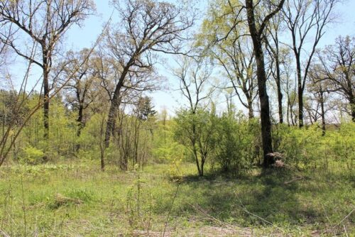 Lot 20 Masters Drive, Morrison, IL