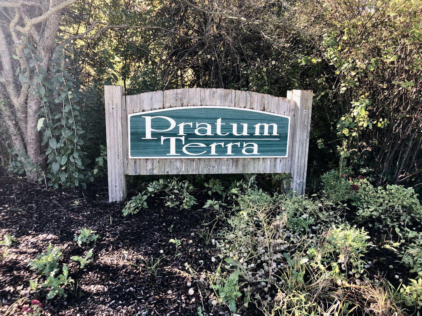14067 W Pratum Terra Drive, Wadsworth, IL