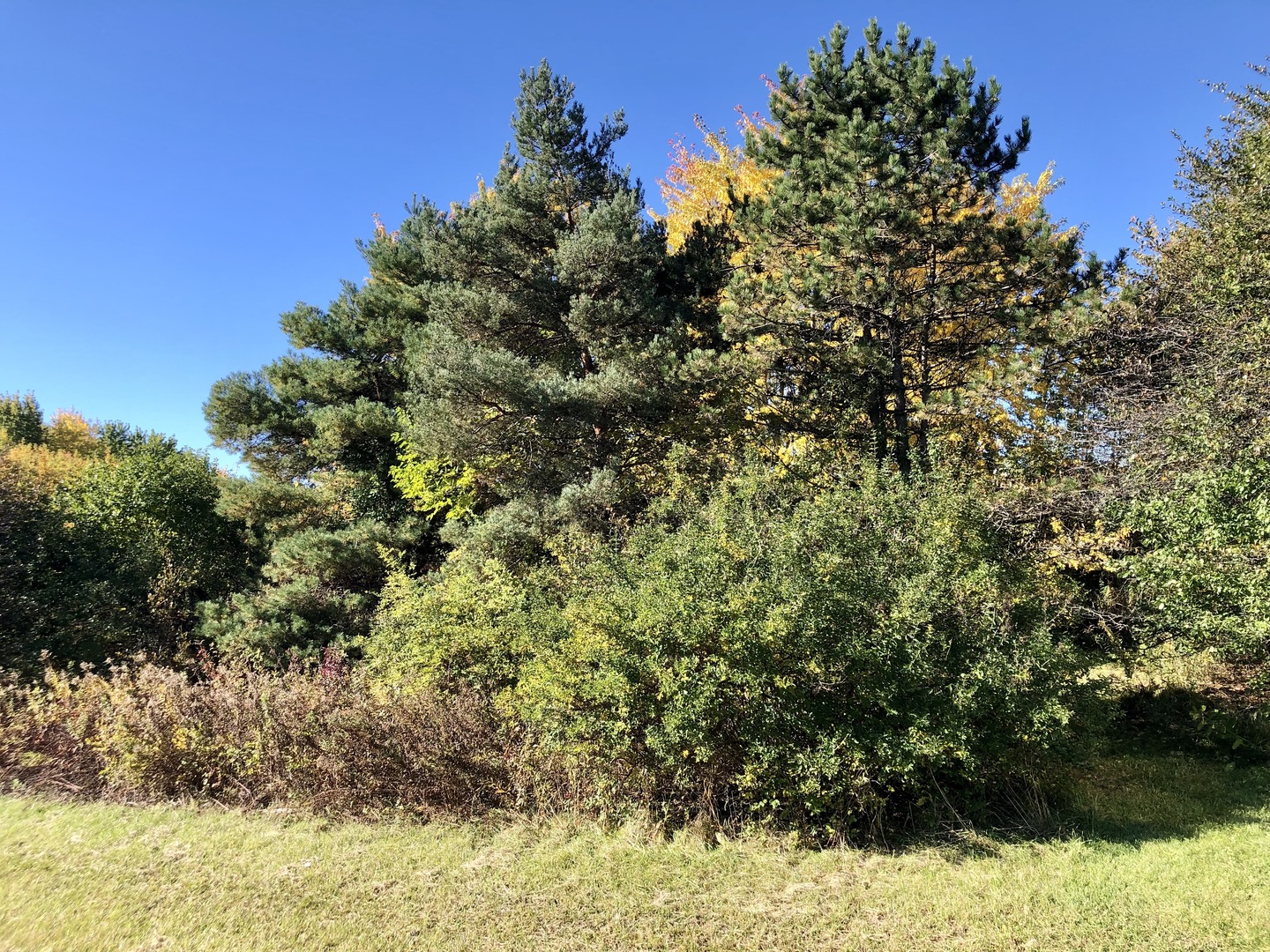 14067 W Pratum Terra Drive, Wadsworth, IL