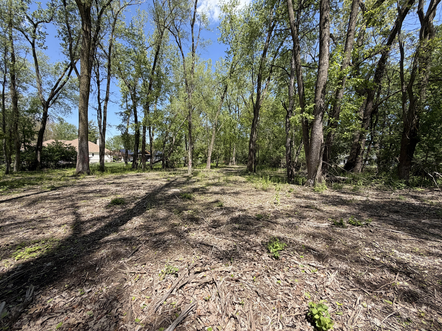 S Prairie Drive, Morris, IL