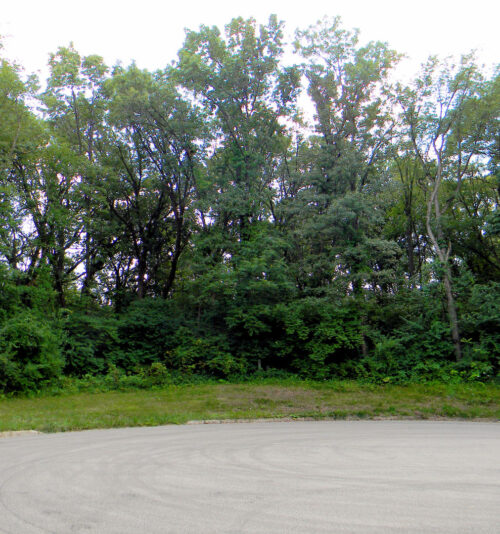 7111 Forest Oak Drive, McHenry, IL