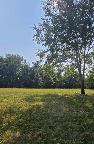 434 WOODLAND Trail, Lindenhurst, IL